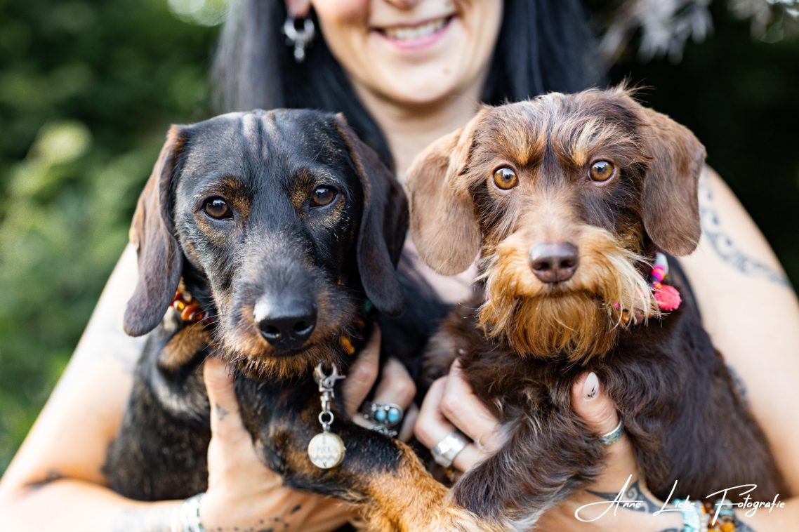 Tiere Tiershooting - Fotografin Bad Kreuznach